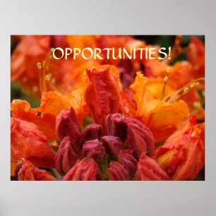 Poster ART DE BUREAU Opportunités ! Rhododendrons Art Enc