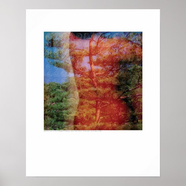 Poster Art de couverture - Arbre et dos - Griego (Devant)