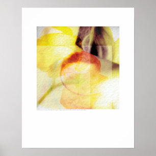 Poster Art de couverture - Stems et Cou - Griego