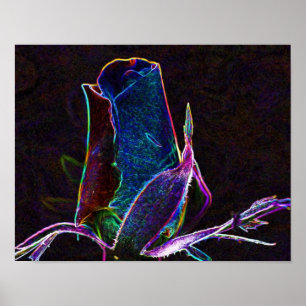 Poster Art de la fleur de rose électrique