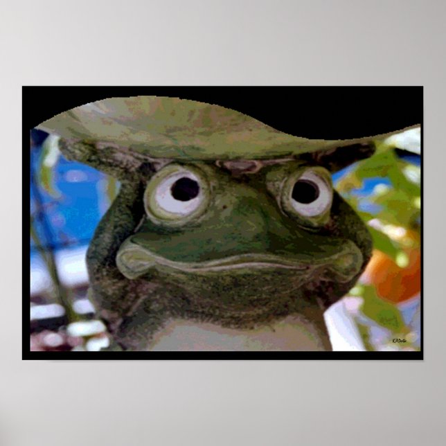 Poster Art de la grenouille de jardin (Devant)