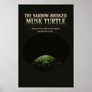 Poster Art de la Tortue Musquée à Pont Étroit