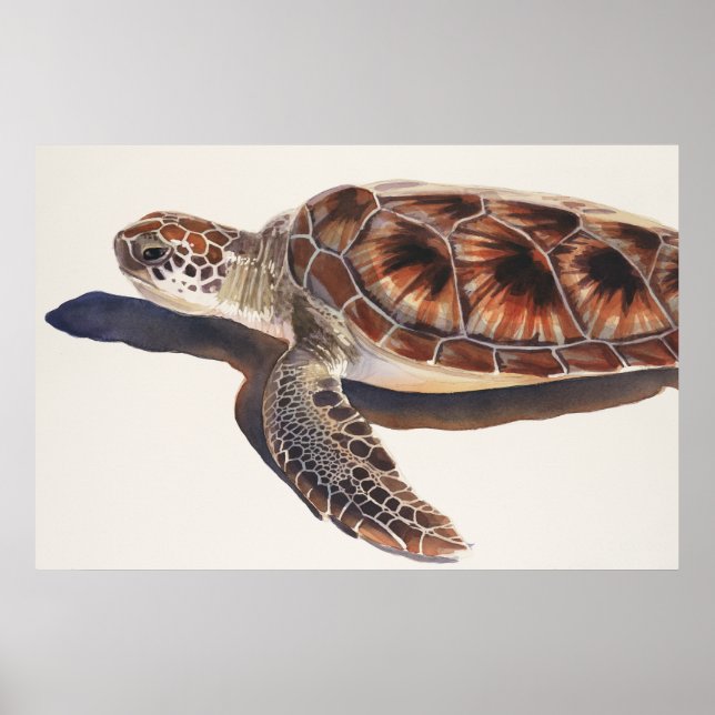 Poster Art de l'aquarelle de la faune de la tortue marine (Devant)