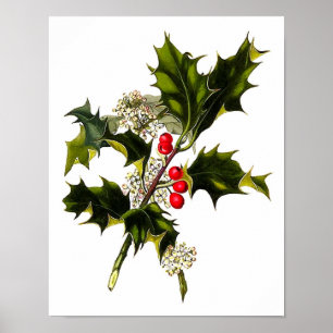 Poster Art de mur de houx de Noël de l'affiche #8 d'art