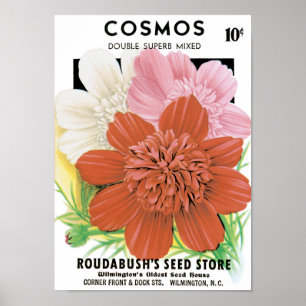 Poster Art de pochette de graines vintage, fleurs de jard