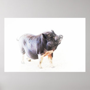 Poster Art De Style Ferme De Cochon
