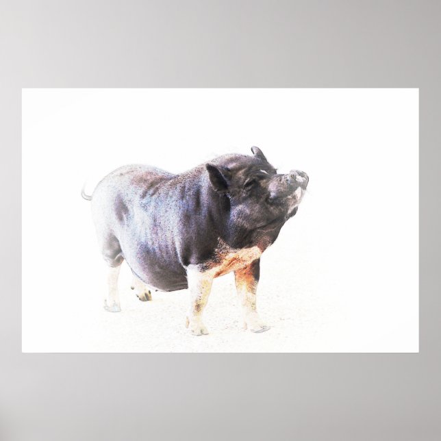Poster Art De Style Ferme De Cochon (Devant)