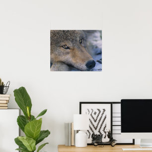 Poster Art de Wolf Lovers