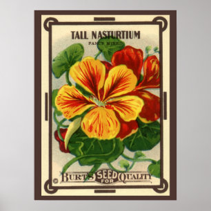 Poster Art d'étiquette de paquet de graines vintage, fleu