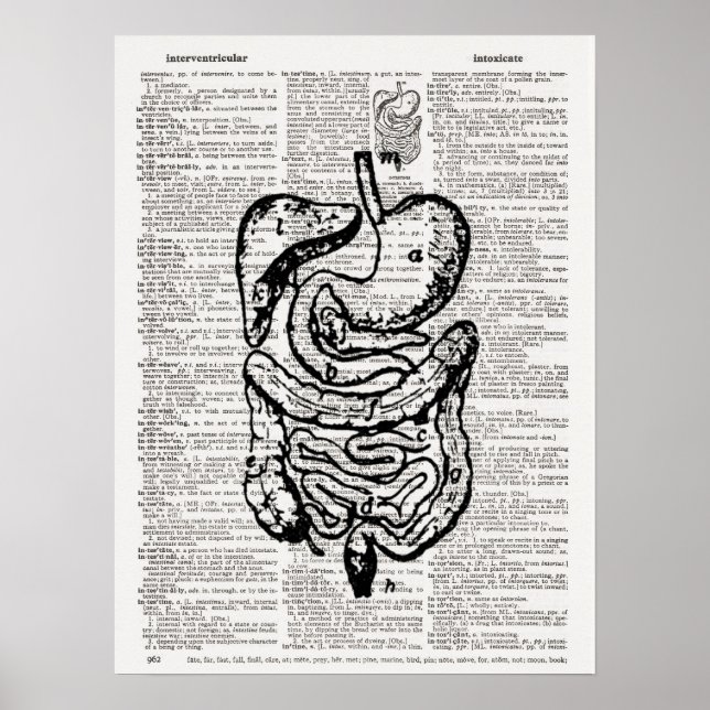 Poster Art du dictionnaire d'illustrations Médicale (Devant)