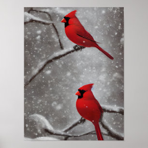Poster Art élégant Red Cardinal Birds
