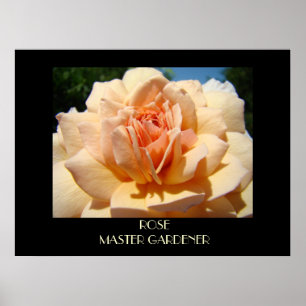 Poster Art encadré rose Imprimer MASTER GARDENER Cadeaux