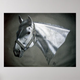 Poster Art équestre gris sur gris