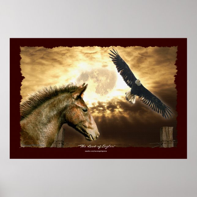 Poster Art espagnol Mustang Horse & Bald Eagle Imprimer (Devant)