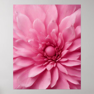 POSTER ART FLEURS ROSES