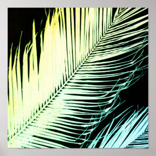 Poster art moderne tropical en feuilles de palme