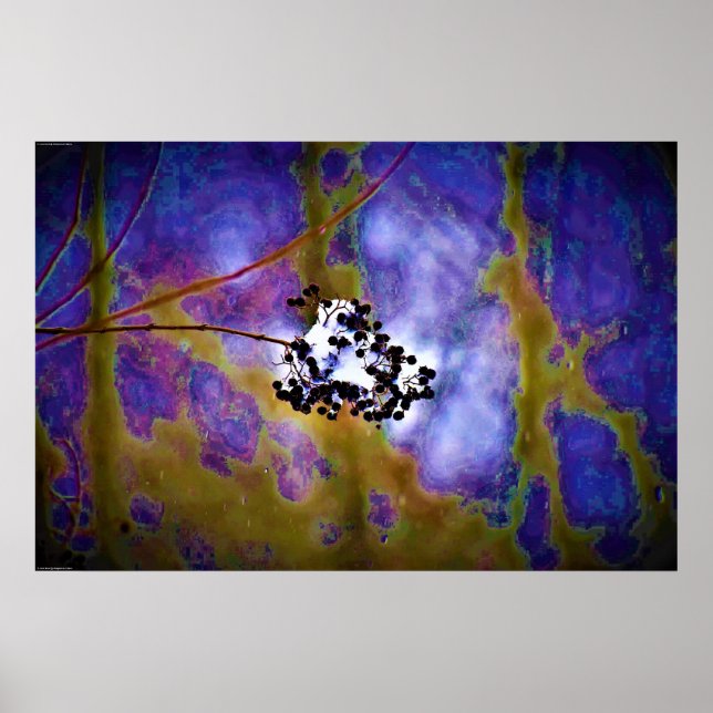 Poster Art mur (Devant)