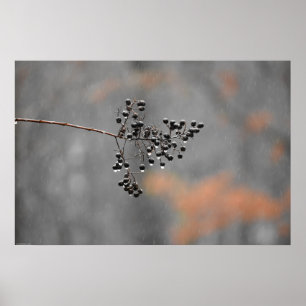 Poster Art mur