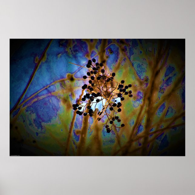 Poster Art mur (Devant)