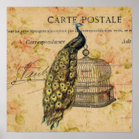 art nouveau botanique vintage paon