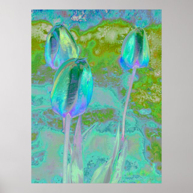 Poster Art numérique Aqua Tulip (Devant)