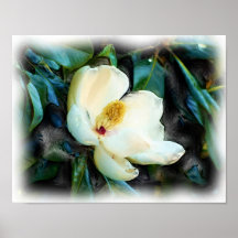 Art numérique de peinture à l'huile Magnolia Bloss