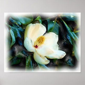 Poster Art numérique de peinture à l'huile Magnolia Bloss