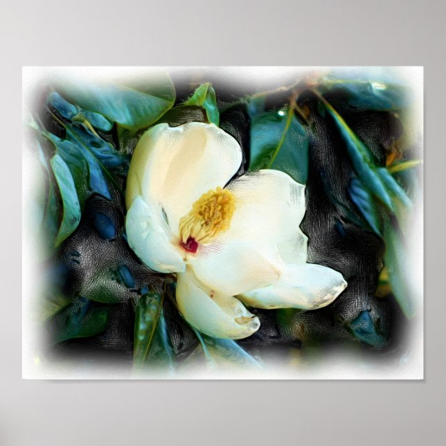 Poster Art numérique de peinture à l'huile Magnolia Bloss (Devant)