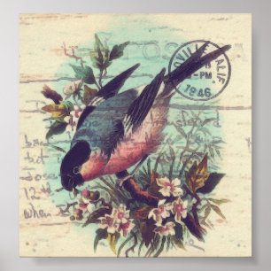 Poster Art numérique d'oiseaux