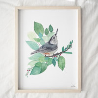 Art Nuthatch à poitrine blanche Imprimer