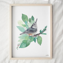 Poster Art Nuthatch à poitrine blanche Imprimer