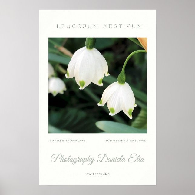 Poster Art Print - Summer Snowflake (Devant)