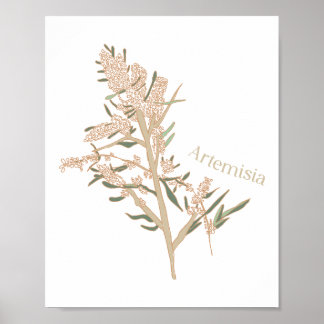 Poster Artemisia