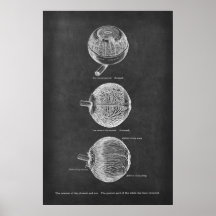 Artères anatomiques des yeux humains du Choroïde e