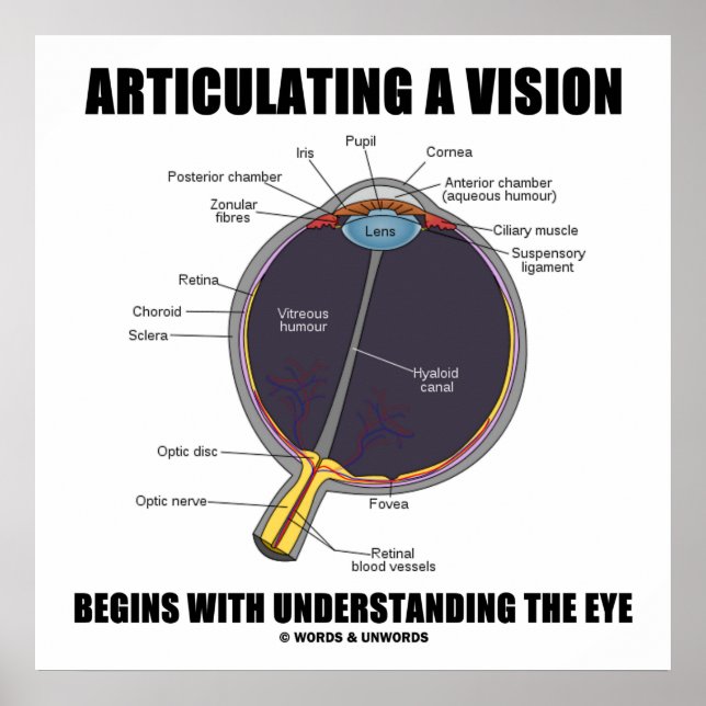 Poster Articuler Une Vision Commence À Comprendre L'Oeil (Devant)
