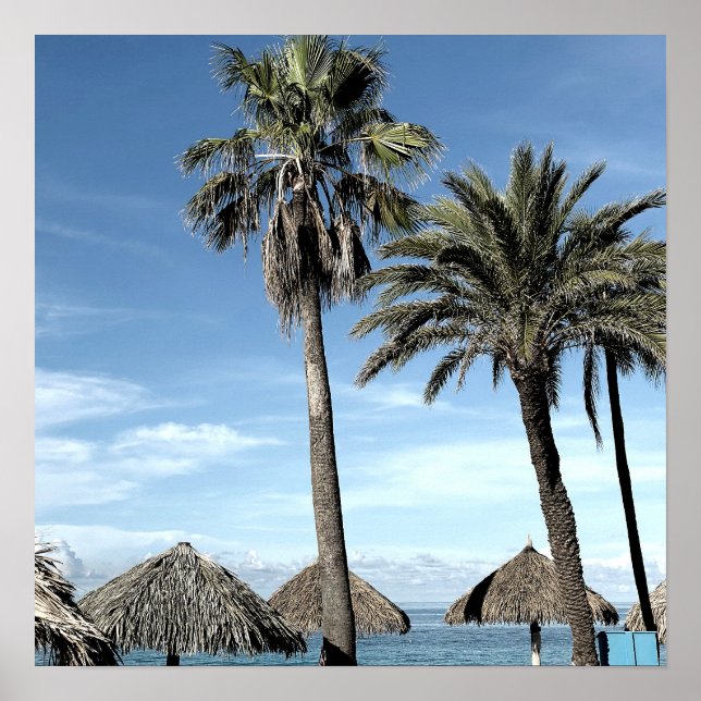 Poster Aruba Ocean Vue Palm Trees et Plage Palapa Huts (Devant)