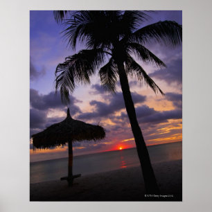 Poster Aruba, silhouette de palmier et palapa