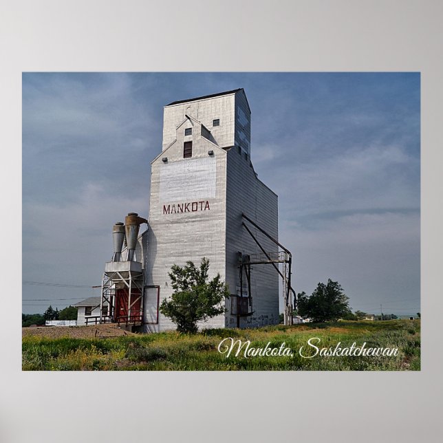 Poster Ascenseur Mankota Grain (Devant)