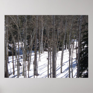 Poster Aspen dans la neige