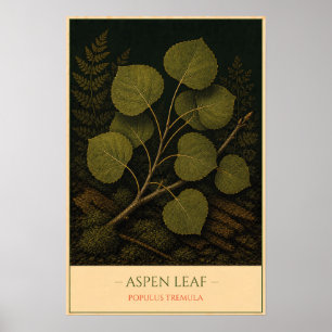Poster Aspen Leaf