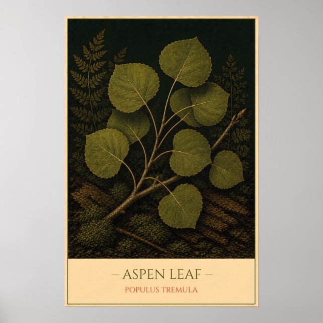 Poster Aspen Leaf (Devant)