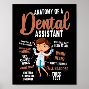 Poster Assistant Dentaire Anatomie Dentaire D'Un Dentaire
