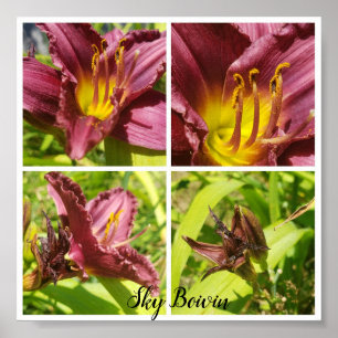 Poster assortiment de lys rouges