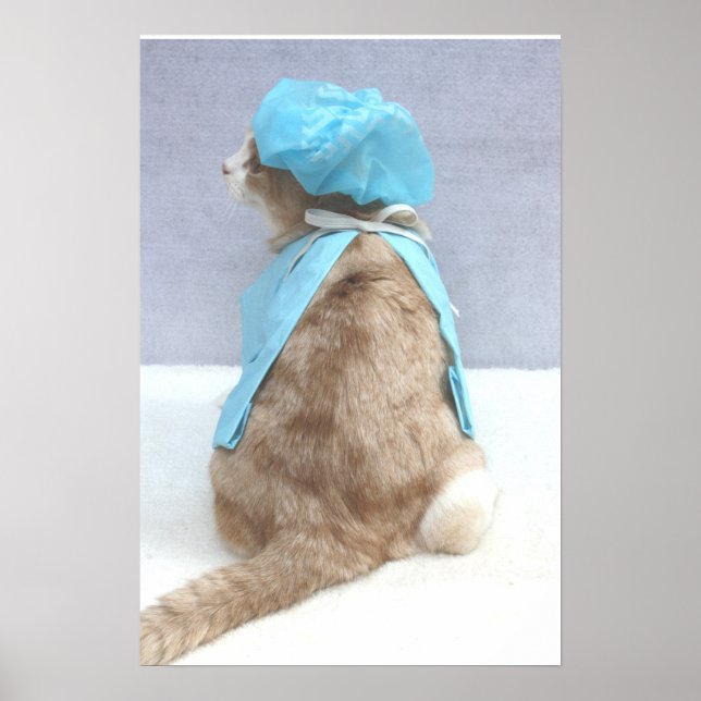 Poster Assurance maladie (Devant)