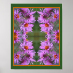 Poster Asters roses sauvages