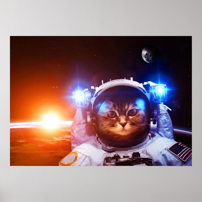 Poster Astronaut de chat drôle (Devant)
