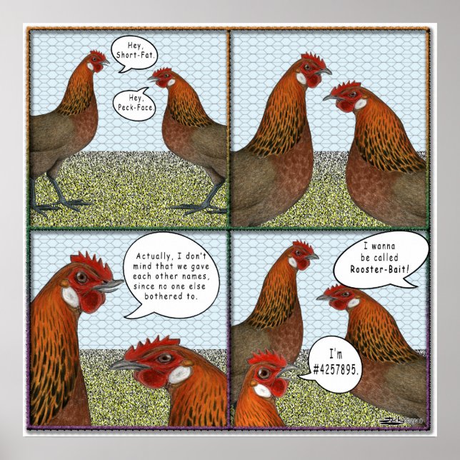 Poster Attaque de coq (Devant)