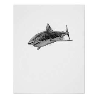 Poster Attaque de requin