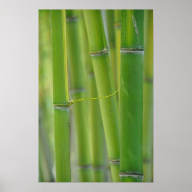 Poster Atteindre (Devant)