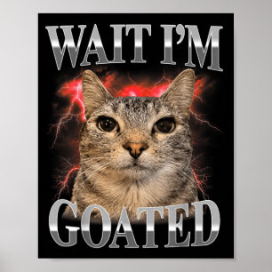 Poster Attends Je Suis Divin Chaton Drôle Mème de Chat Dr